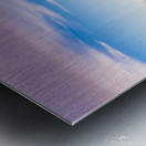 AlaskaRange01 Metal print