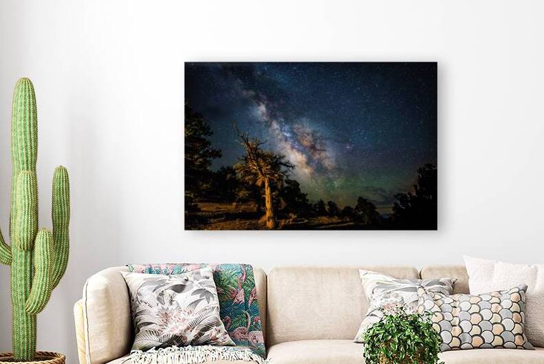 WhiteMountain Milky Way by Mark W Jackson