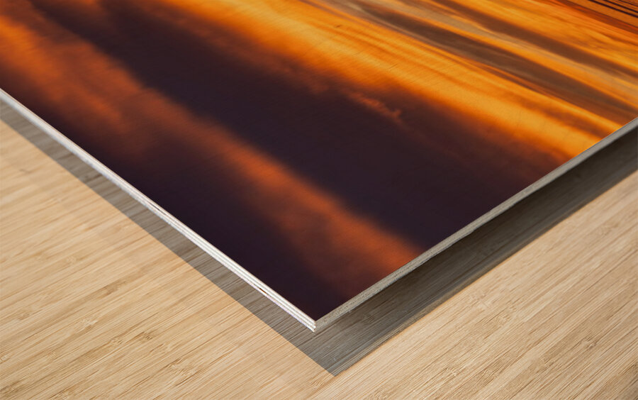 Seacliff Beach Sunset Wood print