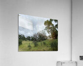 fenced in Acrylic Print