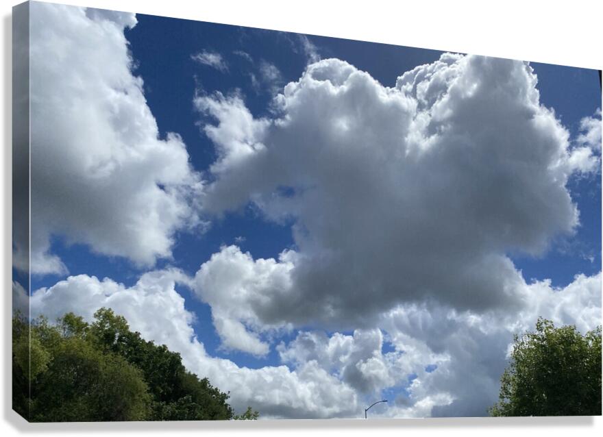 Lightpole Canvas Print