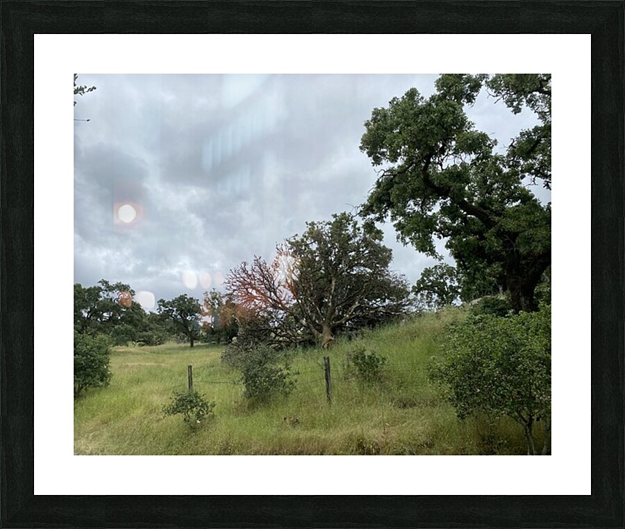 fenced in Picture Frame print