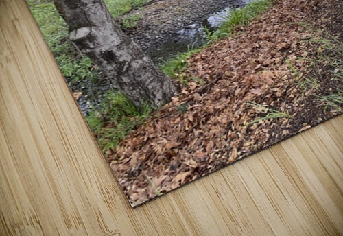 Ducks Aura Le puzzle