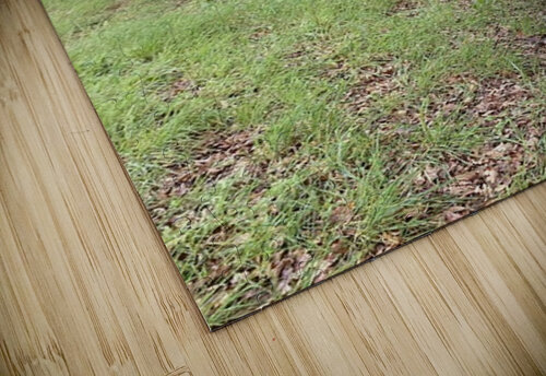 The Crate Aura Le puzzle
