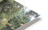 The Crate HD Metal print