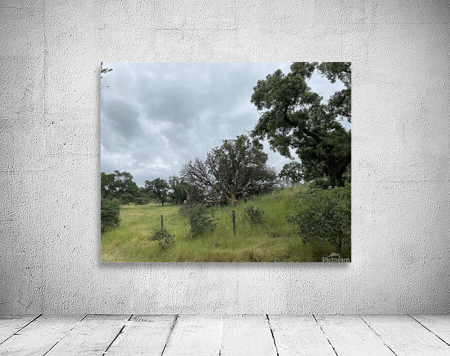fenced in Wall Preview