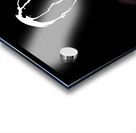 IMG 1816 Acrylic print