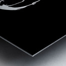 IMG 1816 Metal print