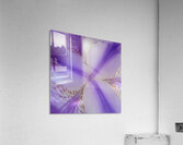 Douceur quebecoise - Iris versicolore Acrylic Print