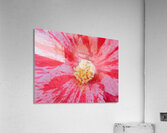 Fraicheur tropicale Acrylic Print