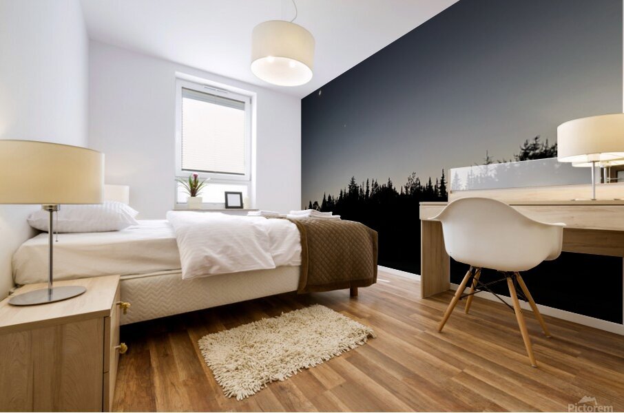 Simple nuit Mural print