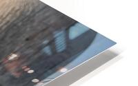 Le veilleur HD Metal print