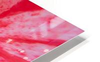 Fraicheur tropicale HD Metal print