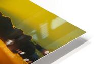 Salvore HD Metal print