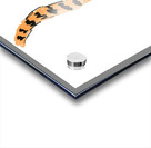 Cheetah 1 Acrylic print