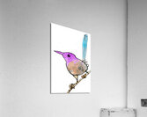 Bird  1 Acrylic Print