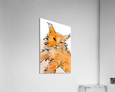 Cat Acrylic Print