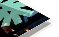 monstera 1 HD Metal print
