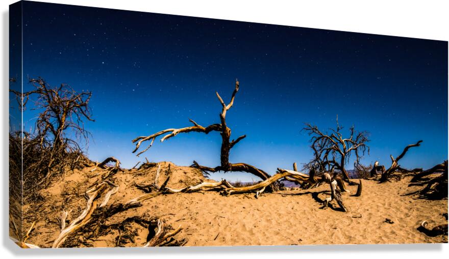 Death Valley Night