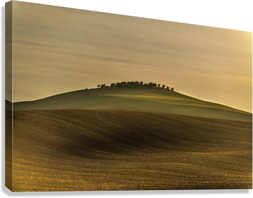 Toscane