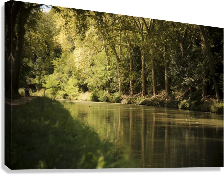 Canal  Carcassone