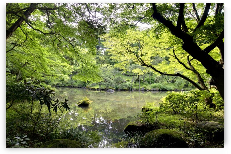 Tokyo Garden by Fabien Dormoy