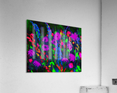 Vivid Floral Acrylic Print