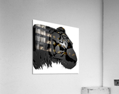 Tiger Head Acrylic Print