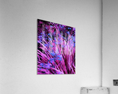 Floral display Acrylic Print