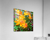 Yellow Flowers Acrylic Print