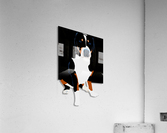 Swissy Acrylic Print