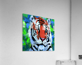 Tiger Art Acrylic Print