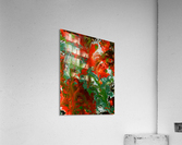 Coral Acrylic Print