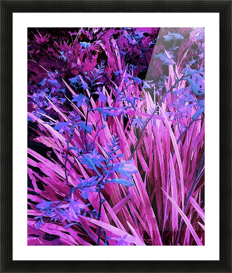 Floral display Picture Frame print