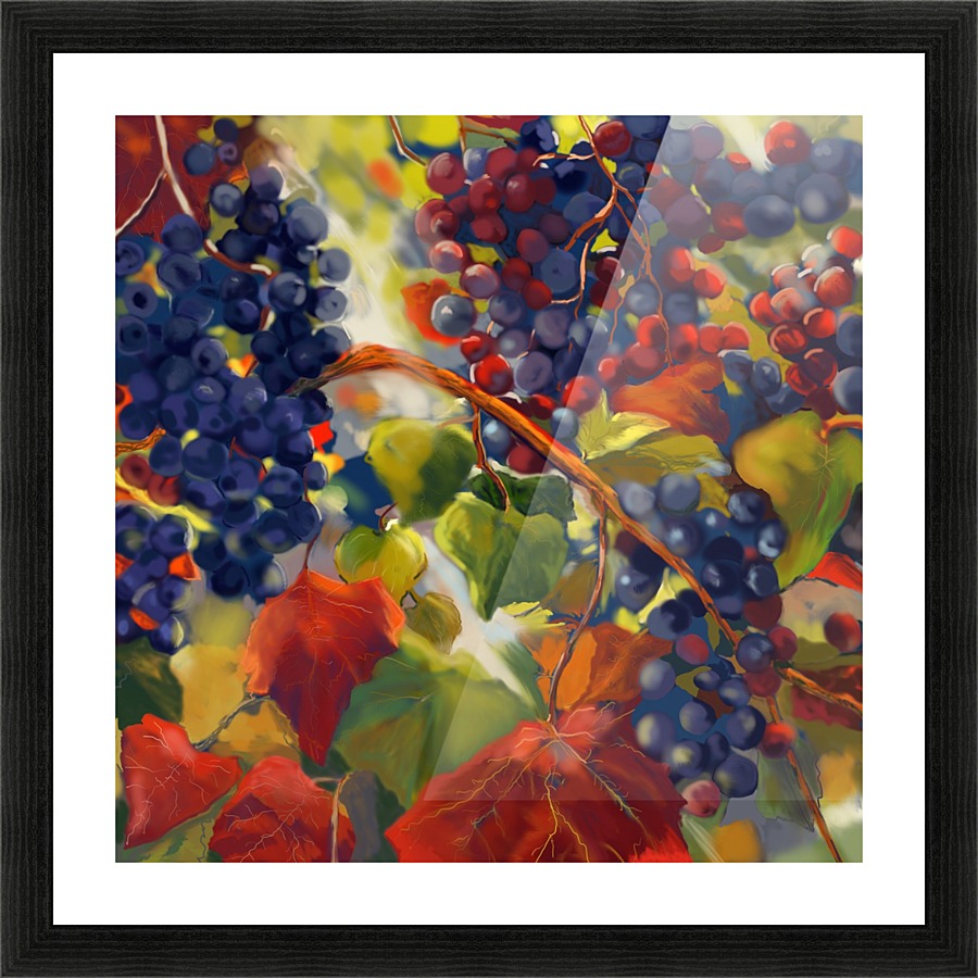 Vinyard Picture Frame print
