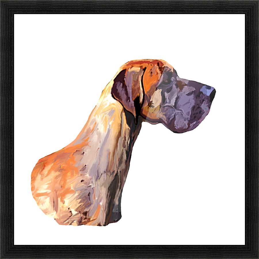 Great Dane Picture Frame print