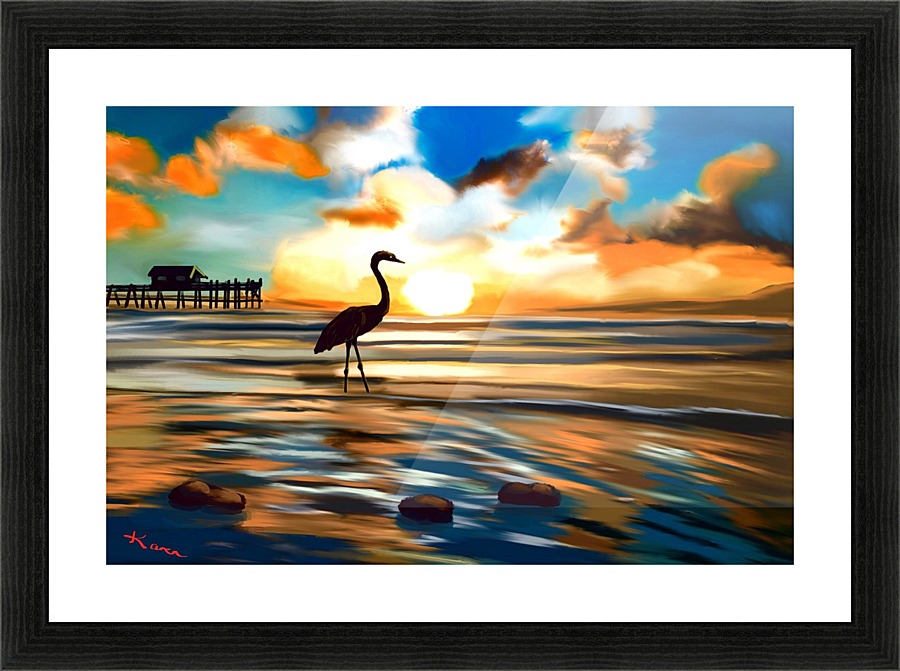 Seabird sunset  Picture Frame print