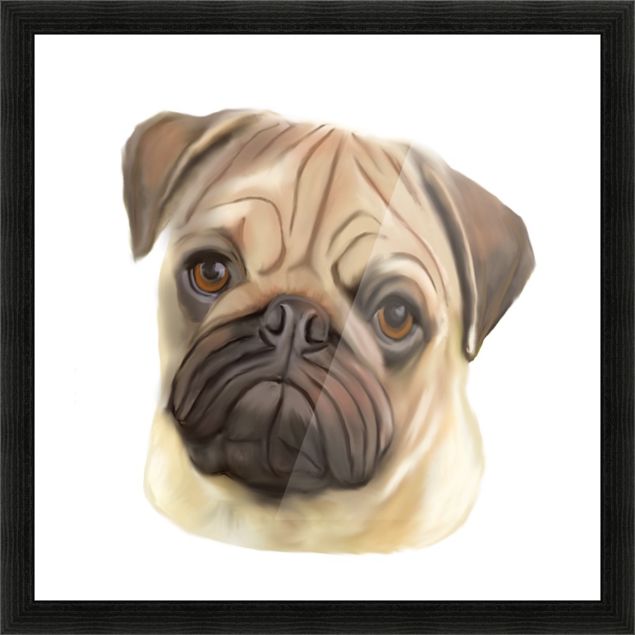 Pug Picture Frame print