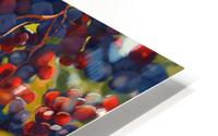 Vinyard HD Metal print