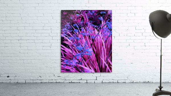 Floral display Wall Preview