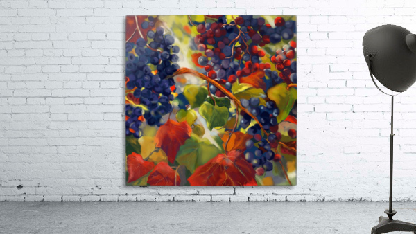 Vinyard Wall Preview