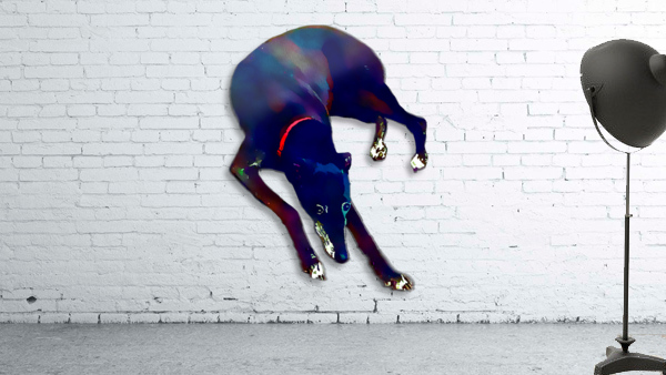 Greyhound  Wall Preview