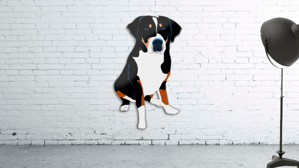 Swissy Wall Preview