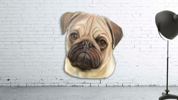Pug Wall Preview