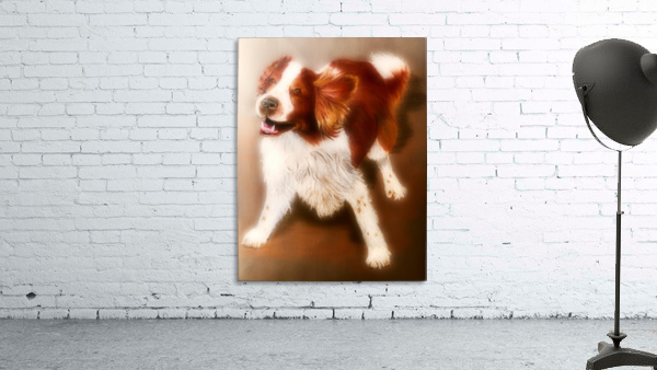 Welsh Springer Spaniel  Wall Preview
