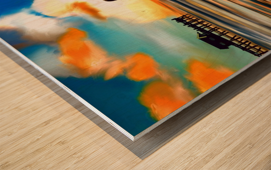 Seabird sunset  Wood print