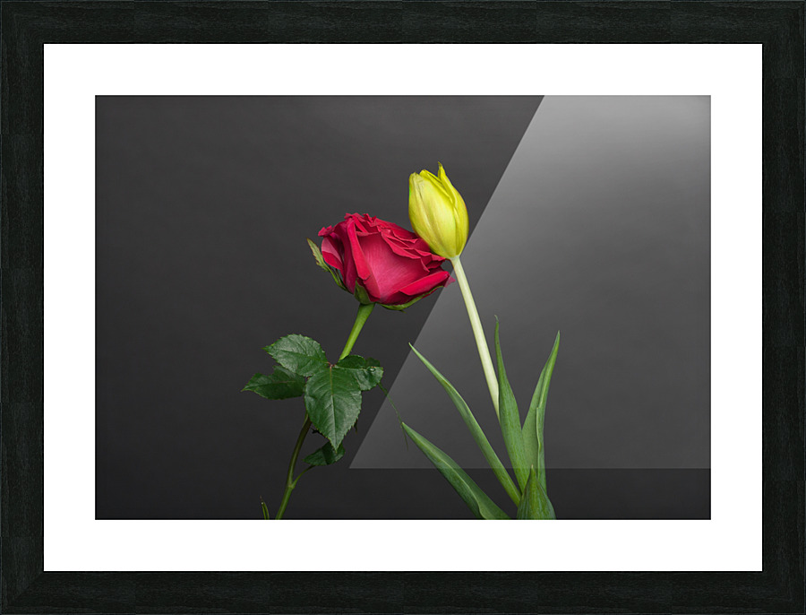 Color Meetings episode 2 Picture Frame print