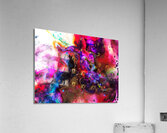 LUNANNULAR II Acrylic Print