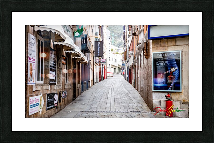  Fine Art print