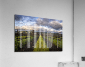 Spring Equinox 2023   2 Acrylic Print